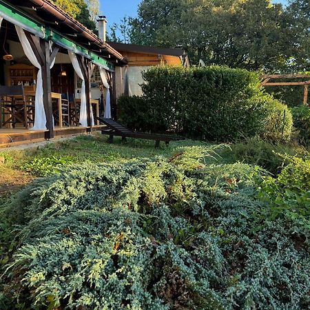 Guest House Lagotto'S Peak Radatovici エクステリア 写真