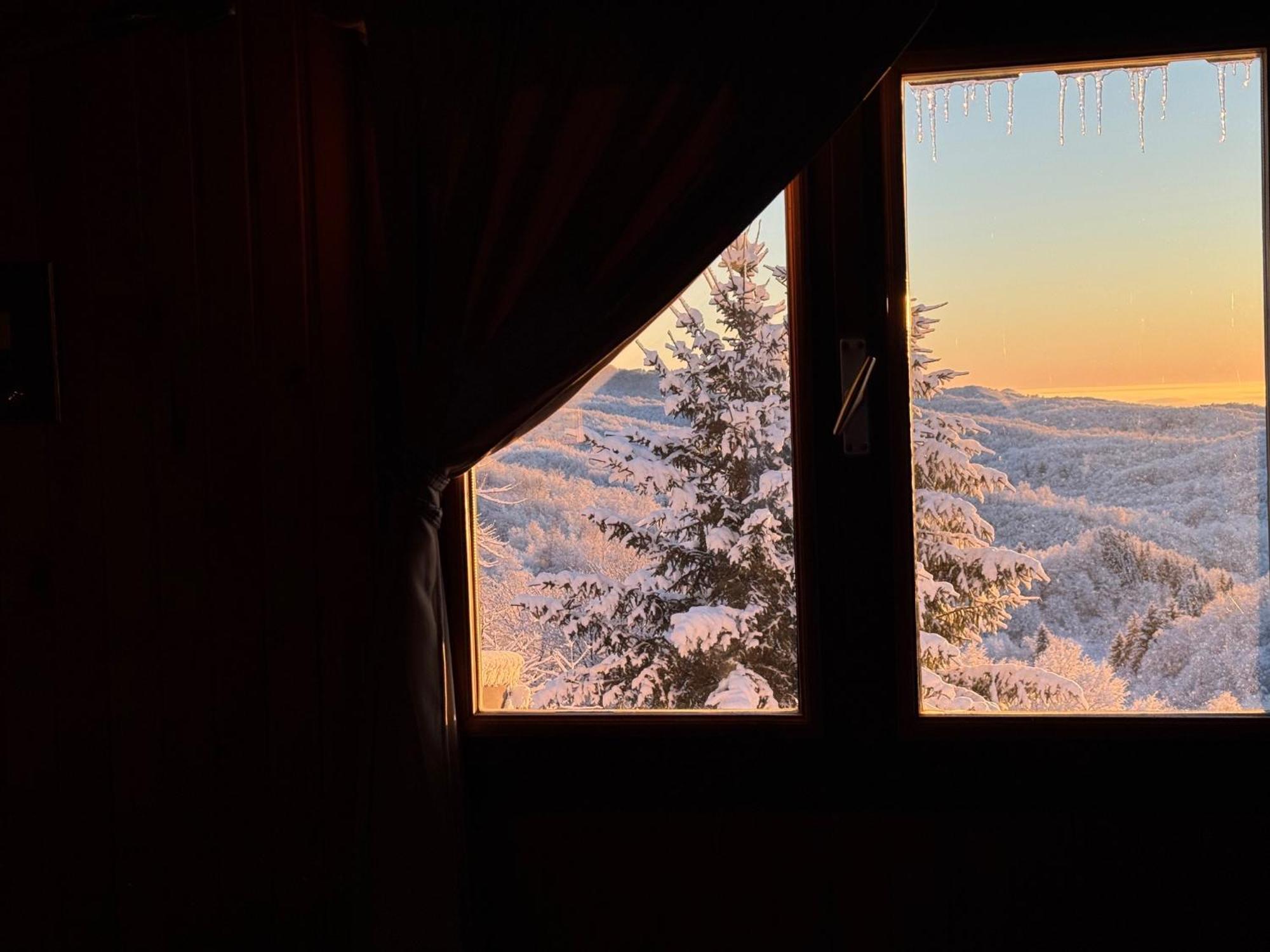 Guest House Lagotto'S Peak Radatovici エクステリア 写真
